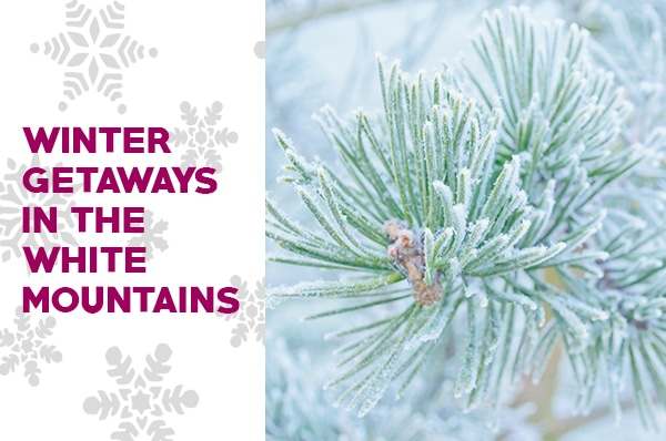 Ski and Stay Getaways at Fox Run