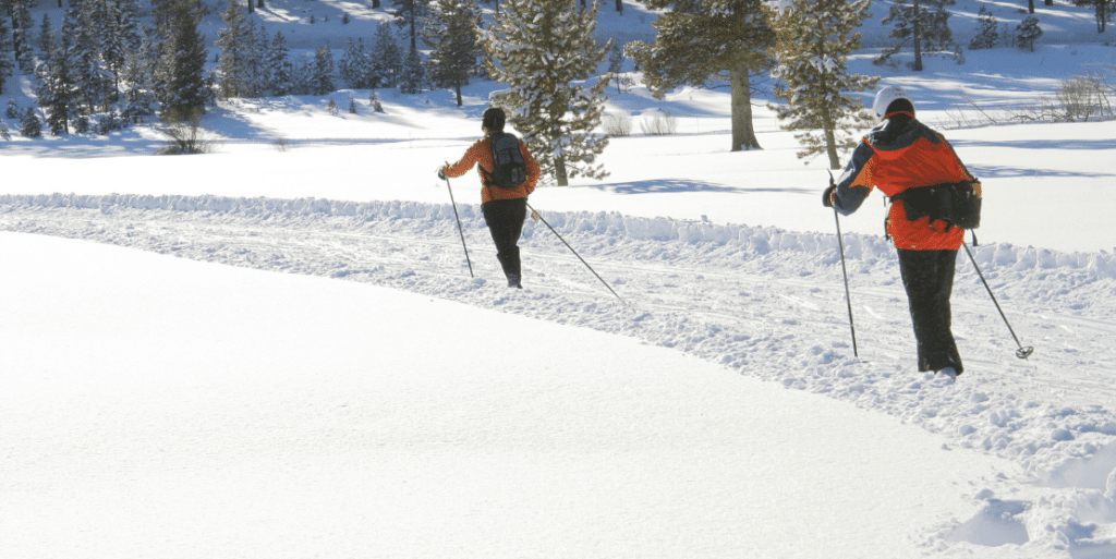 Winter Activities for the Holiday Season at Owl’s Nest!