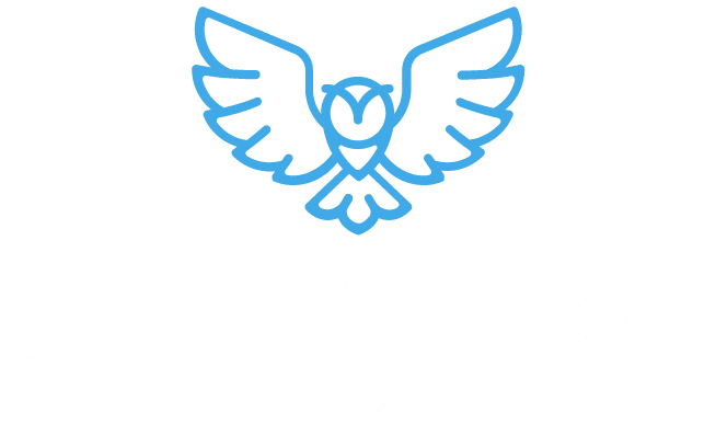 Owl's Nest logo