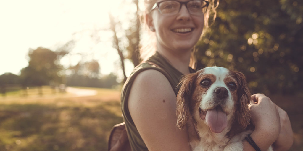 Your Guide to Vacationing with Your Dog