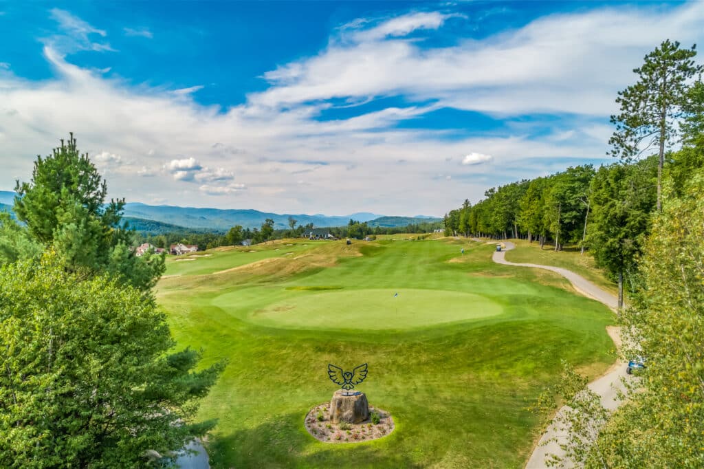 Owls Nest-44