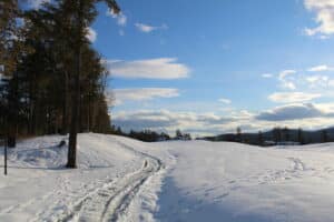 snow tracks