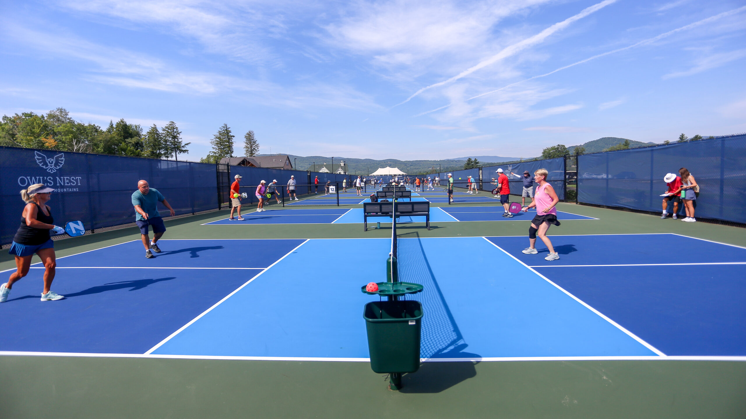 groups of people playing pickleball
