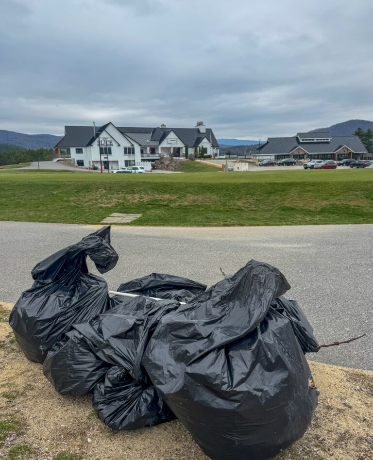 Earth Day Clean up Results